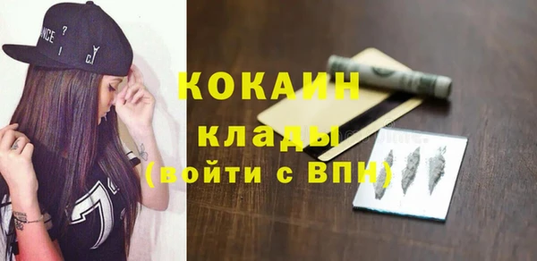 дживик Краснослободск
