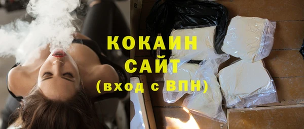 дживик Краснослободск