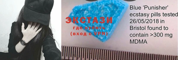 дживик Краснослободск