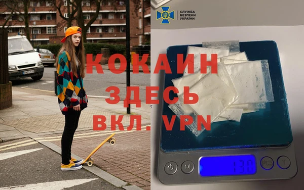 дживик Краснослободск