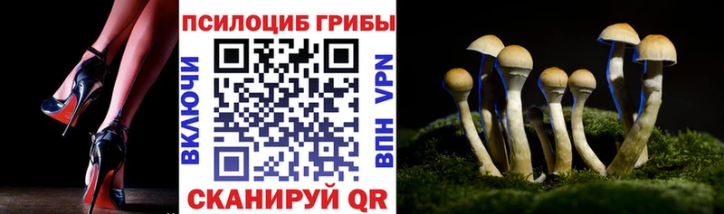 Купить где Вязьма Галлюциногенные грибы ЛСД